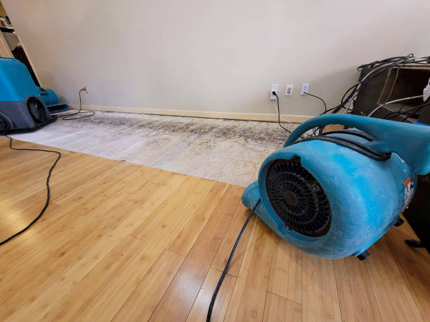 Professional Water Damage Repair technician working in Maxwell, CA